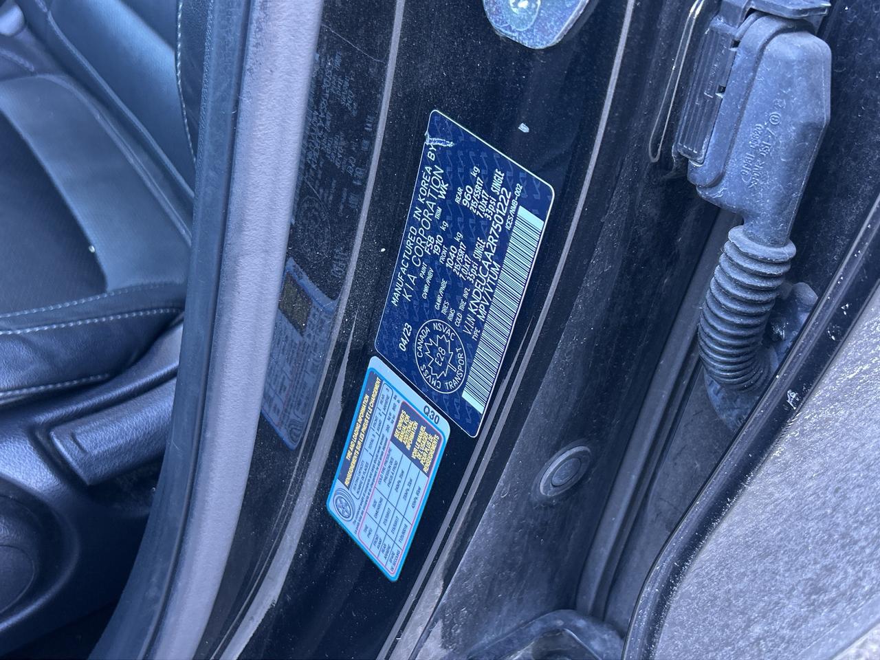 2024 Kia Seltos EX   Clean Carfax Photo