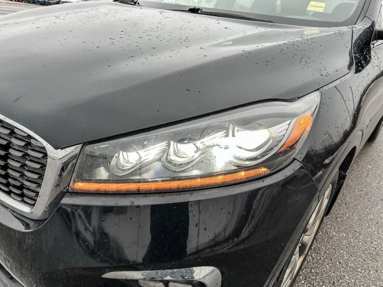 2020 Kia Sorento SX Photo