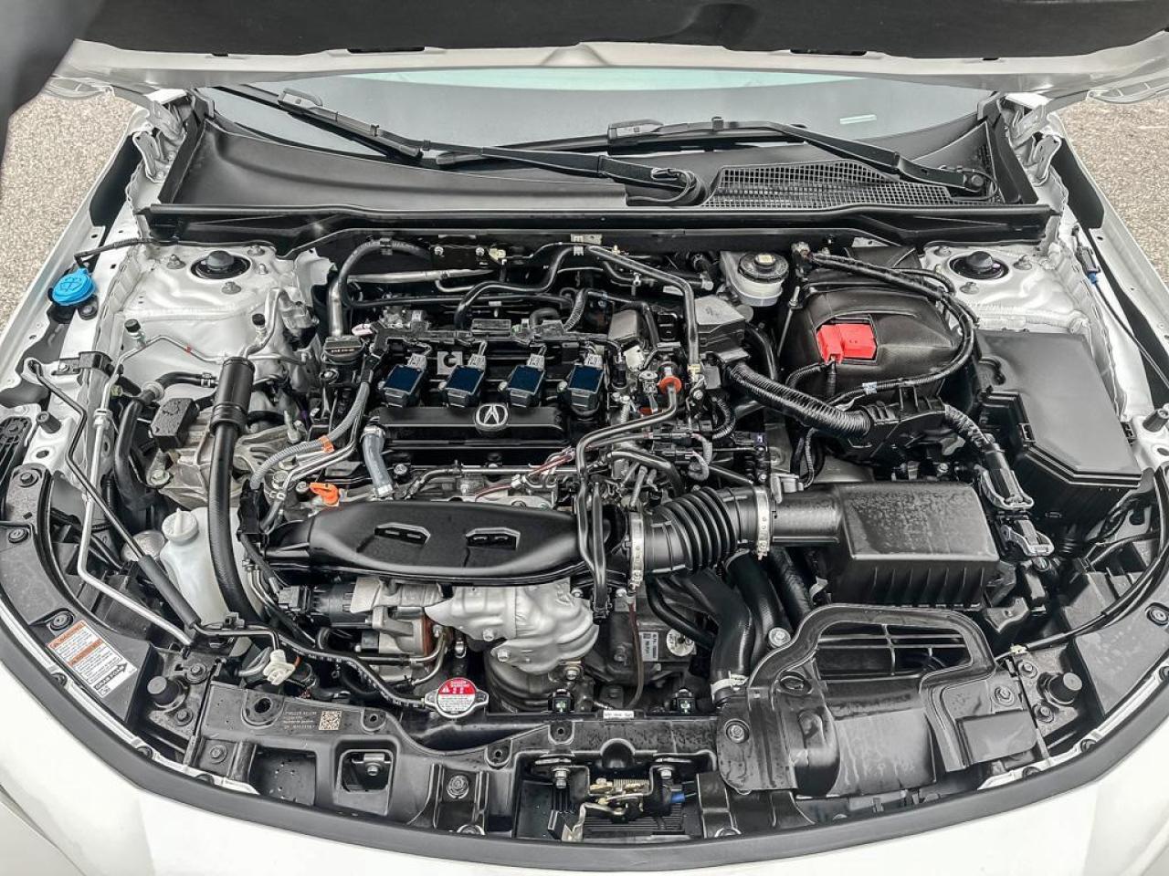 2024 Acura Integra A-SPEC Photo