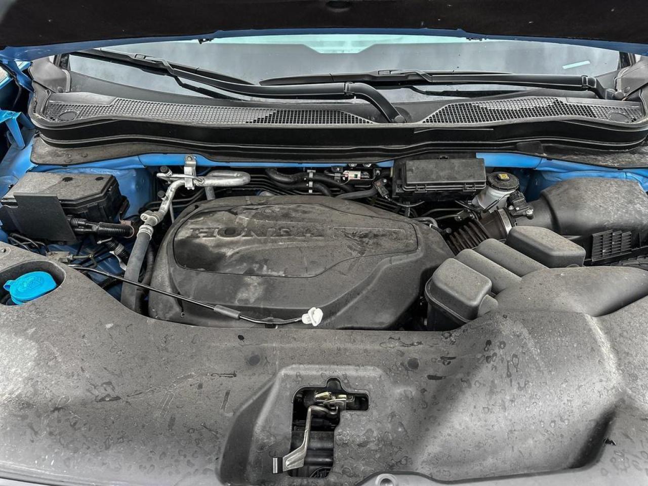 2025 Honda Ridgeline TrailSport Photo