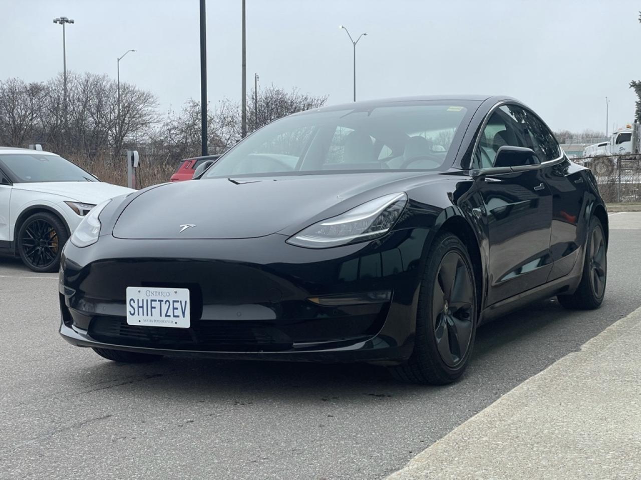 2020 Tesla Model 3 Long Range AWD   Clean CARFAX   No Accidents Photo