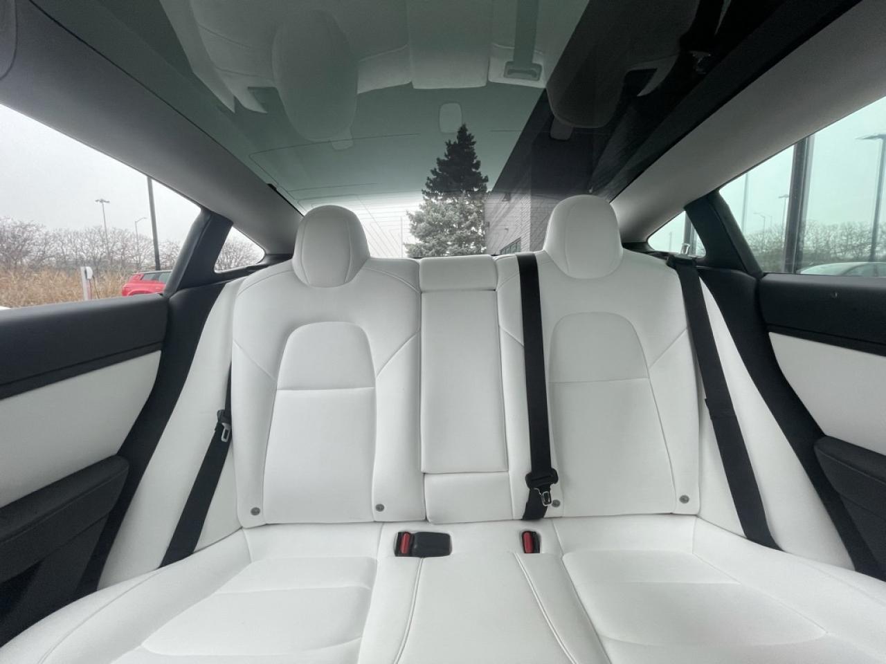 2020 Tesla Model 3 Long Range AWD   Clean CARFAX   No Accidents Photo