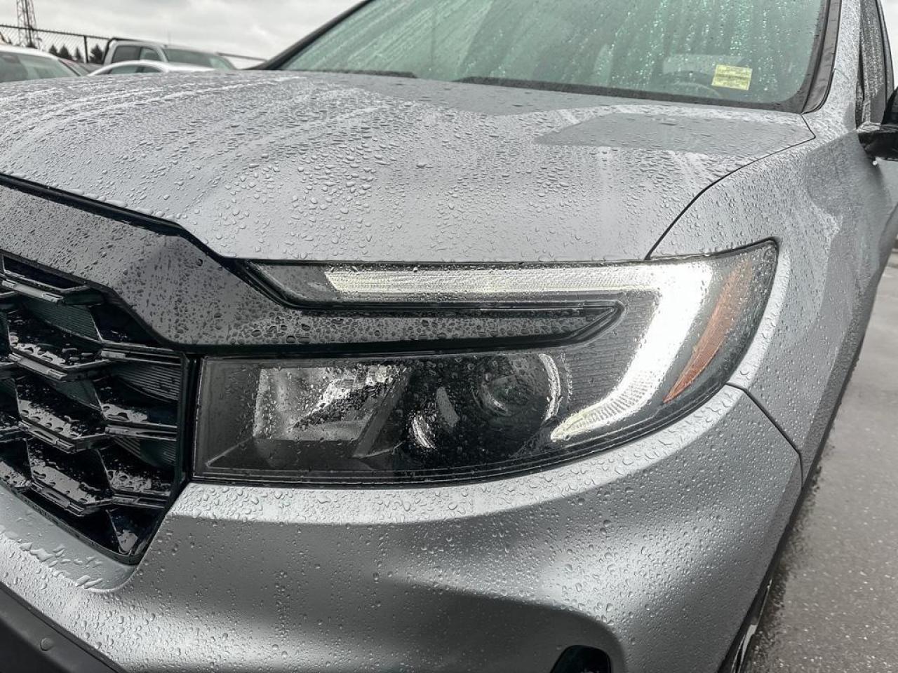 2022 Honda Passport Touring Photo