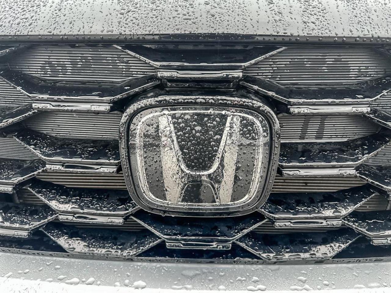 2022 Honda Passport Touring Photo