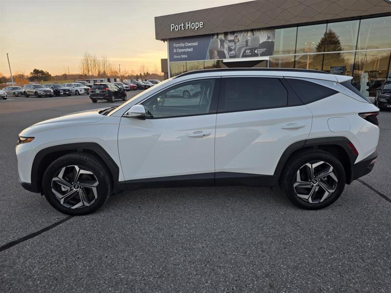 2024 Hyundai Tucson Hybrid Luxury AWD Photo3