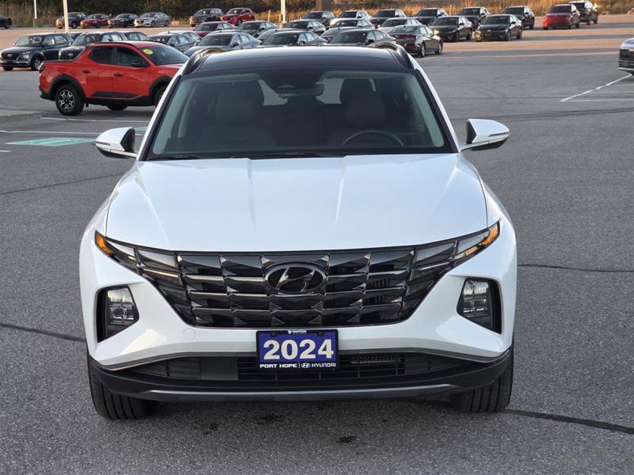 2024 Hyundai Tucson Hybrid Luxury AWD Photo
