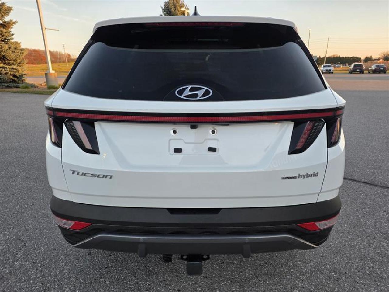 2024 Hyundai Tucson Hybrid Luxury AWD Photo