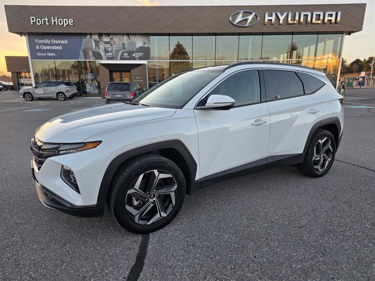 2024 Hyundai Tucson Hybrid Luxury AWD Photo