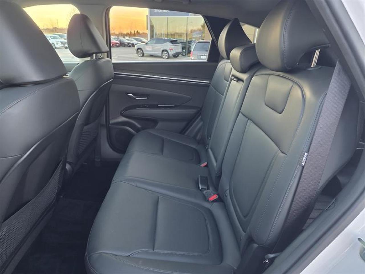 2024 Hyundai Tucson Hybrid Luxury AWD Photo