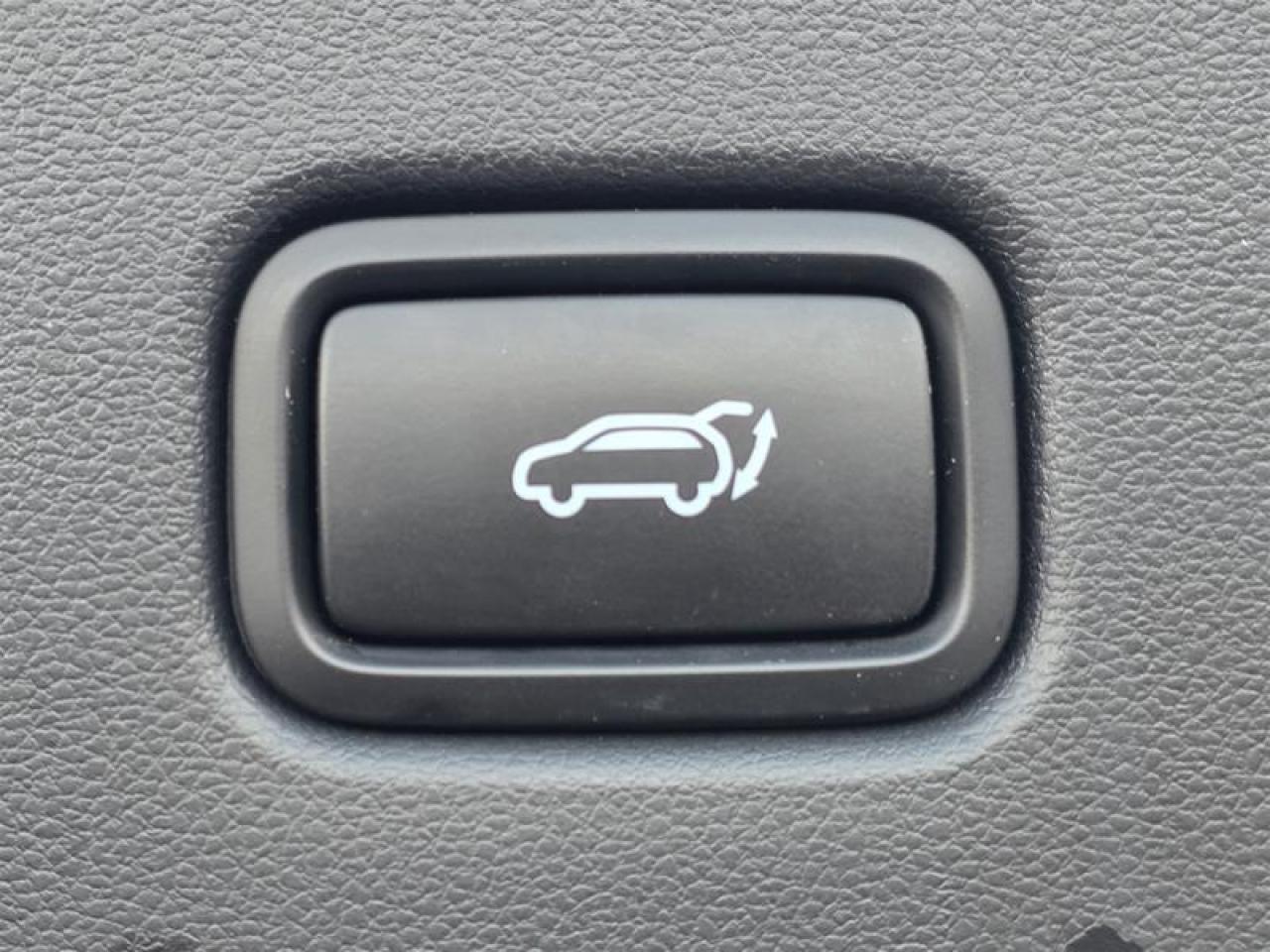 2024 Hyundai Tucson Hybrid Luxury AWD Photo