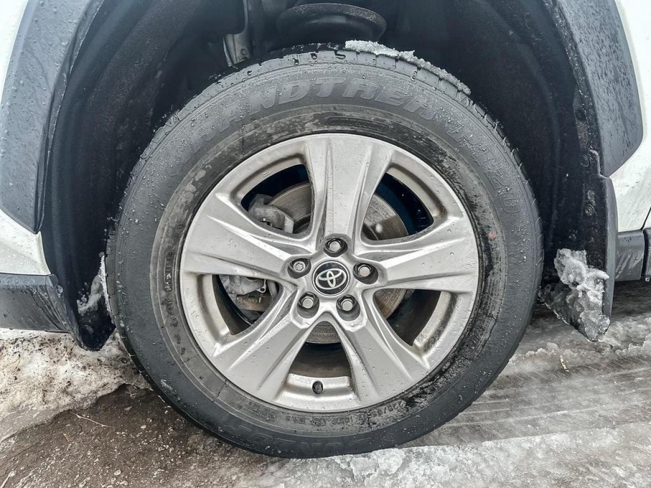 2022 Toyota RAV4 XLE Photo