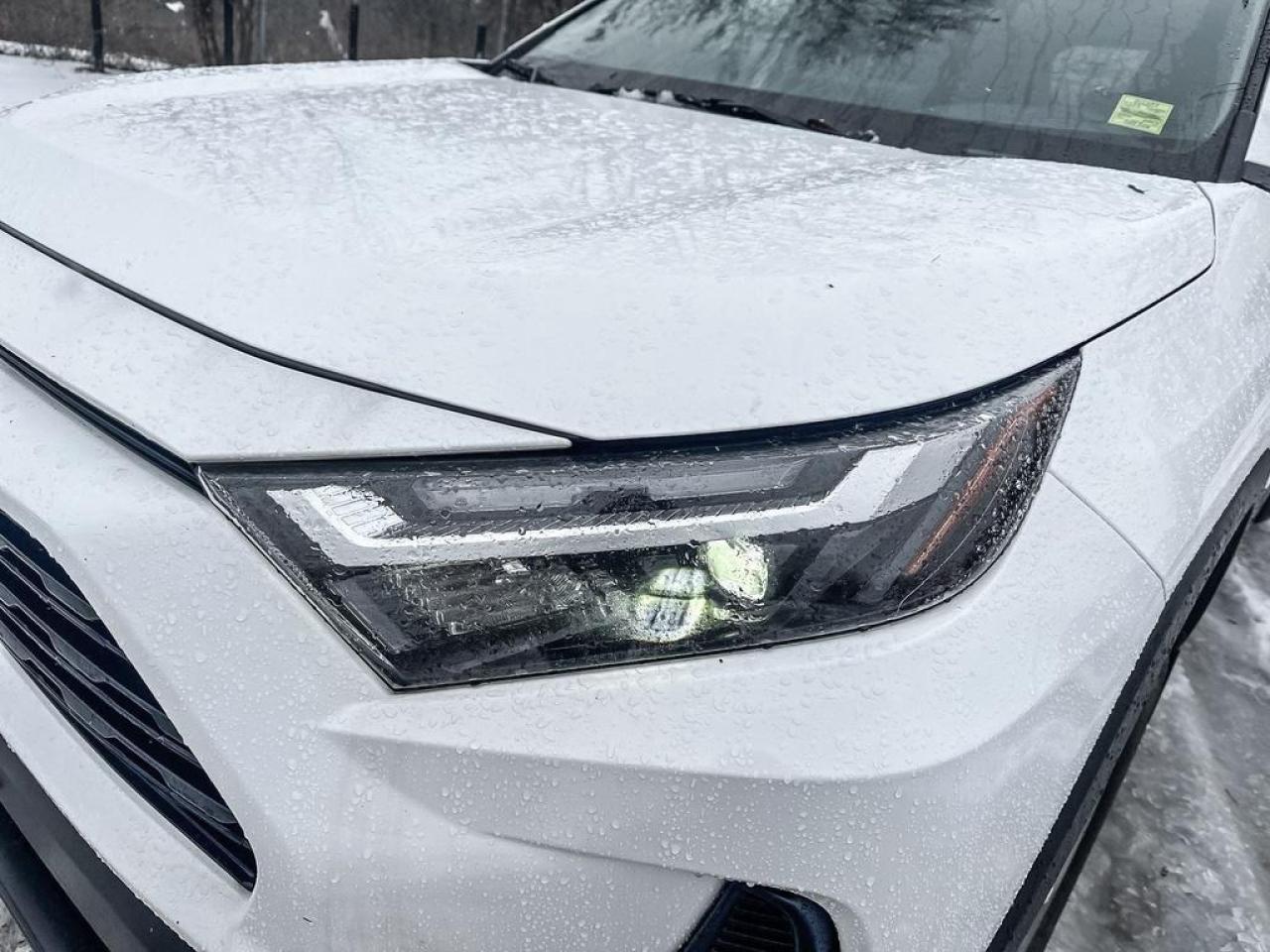 2022 Toyota RAV4 XLE Photo