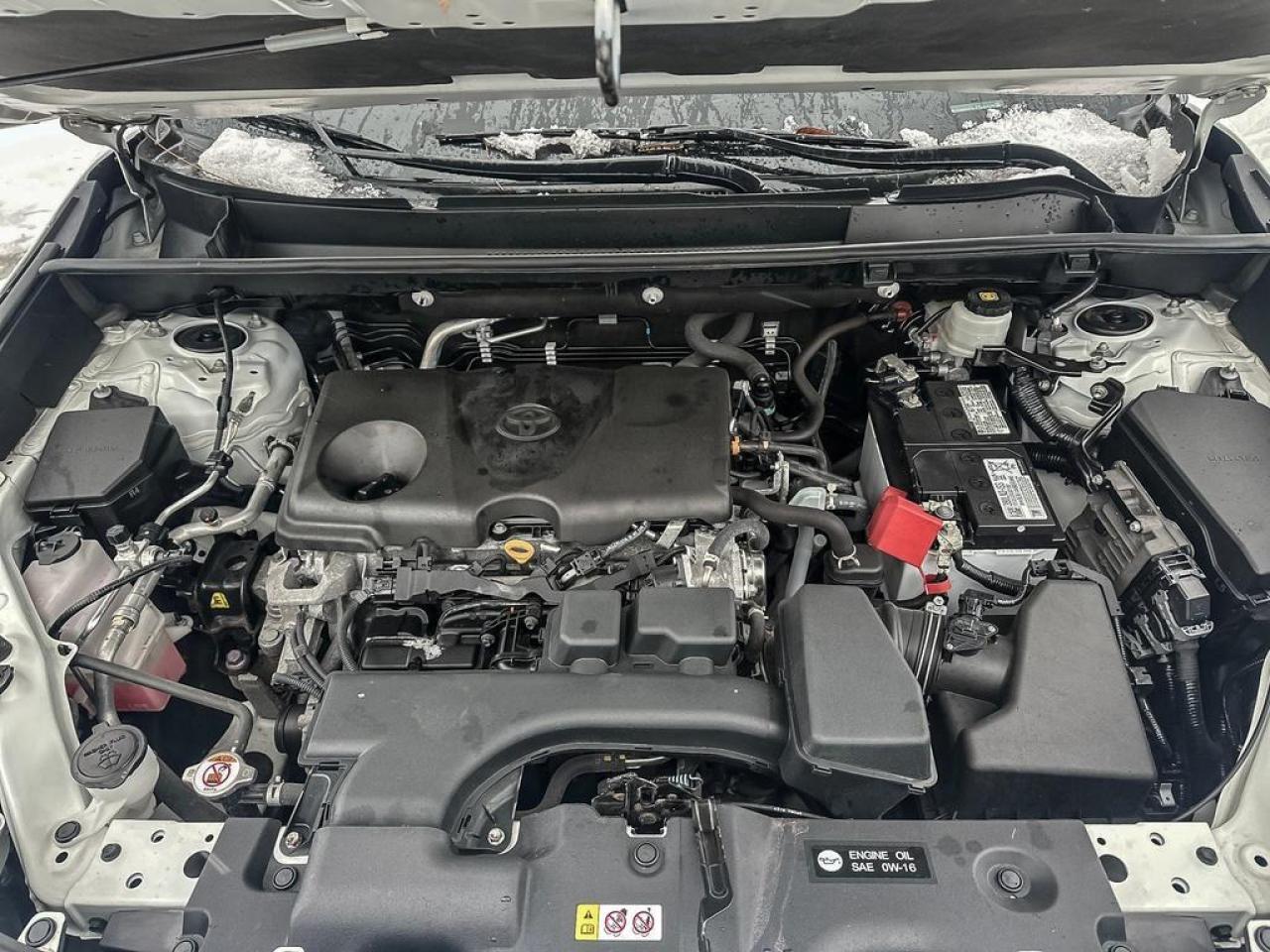 2022 Toyota RAV4 XLE Photo