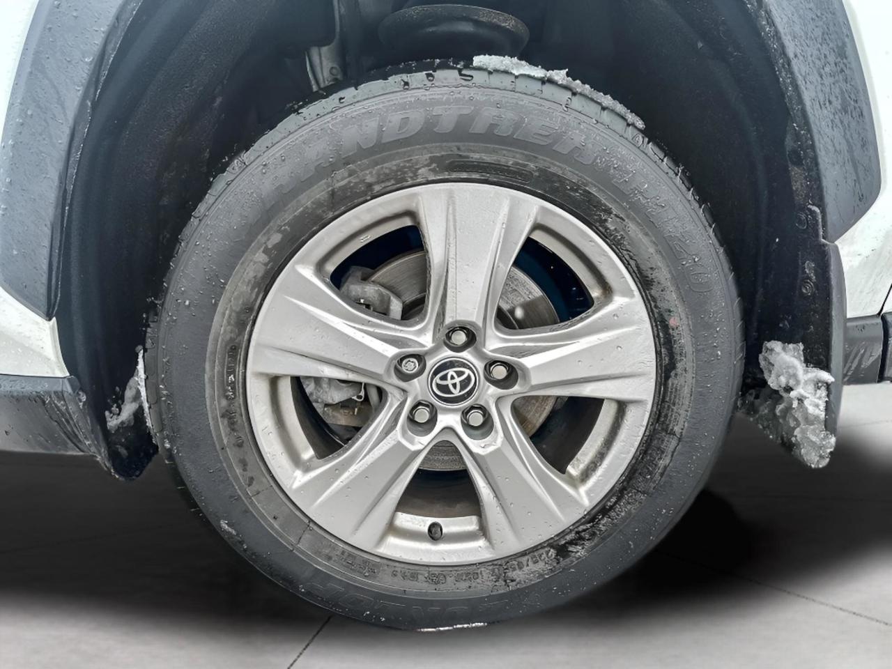 2022 Toyota RAV4 XLE Photo