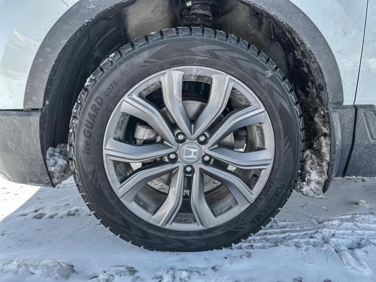 2022 Honda CR-V Sport Photo