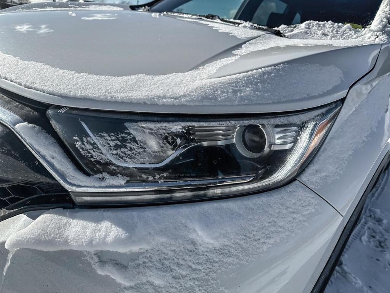 2022 Honda CR-V Sport Photo