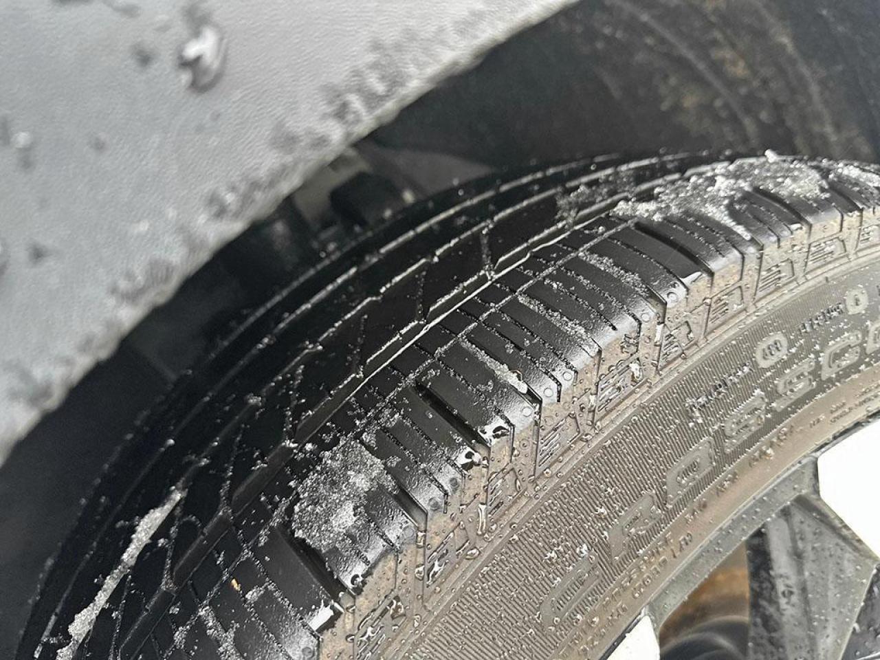 2025 Kia Sorento EX Photo