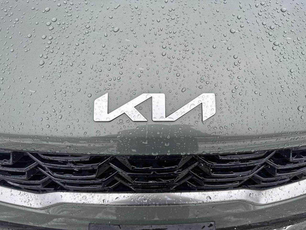 2025 Kia Sorento EX Photo