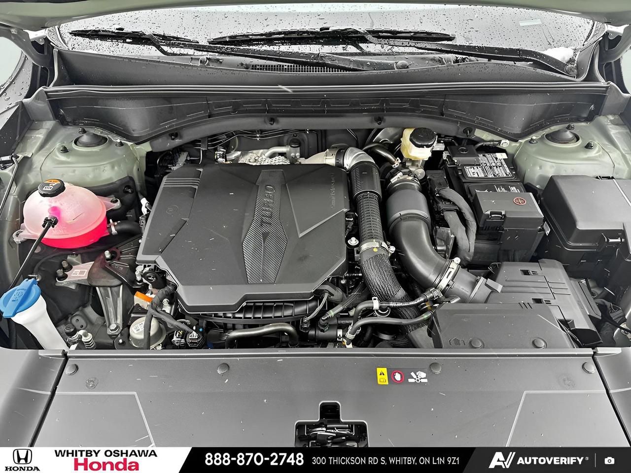 2025 Kia Sorento EX Photo