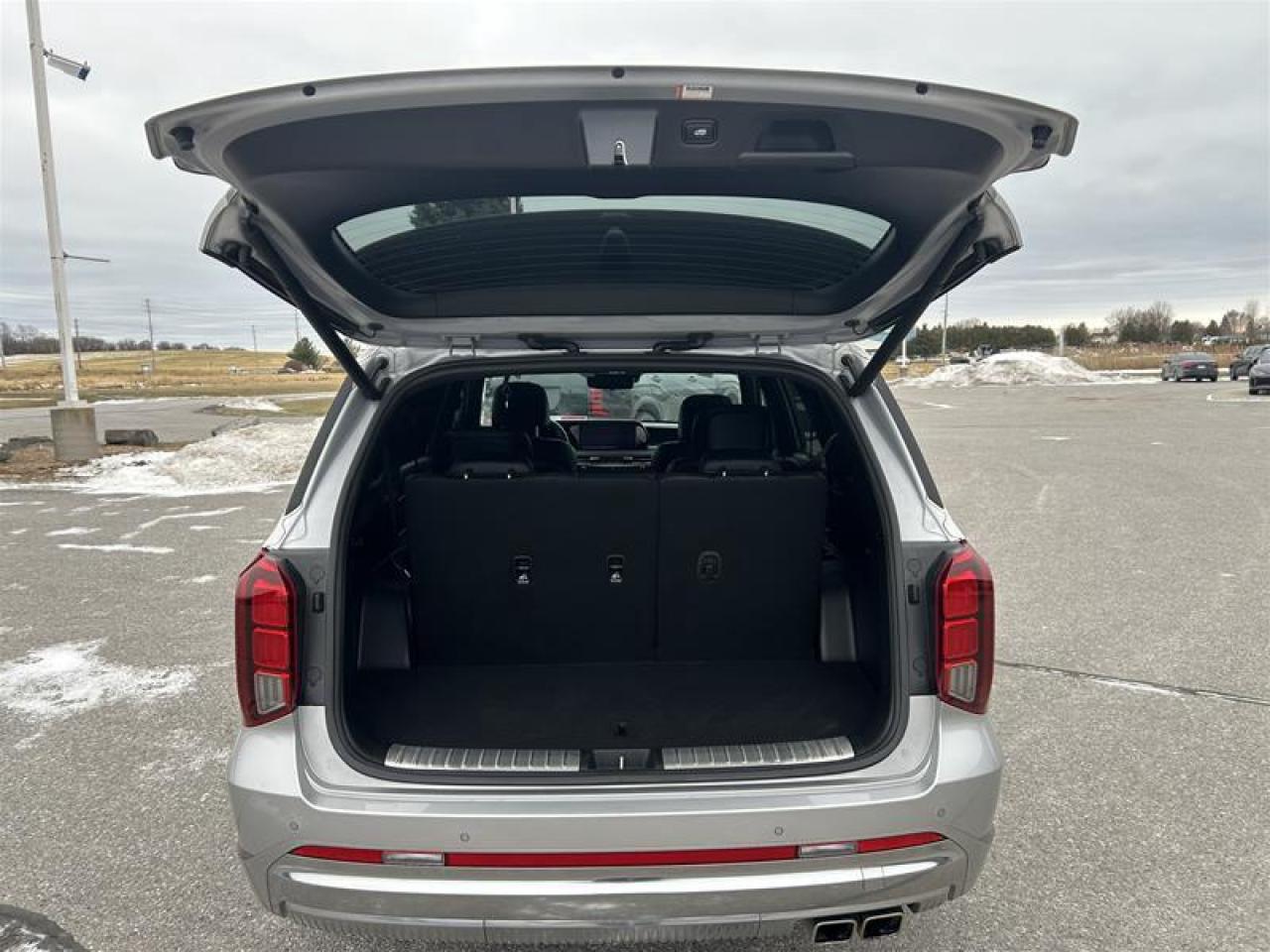 2023 Hyundai PALISADE AWD Ultimate Calligraphy 7P Photo