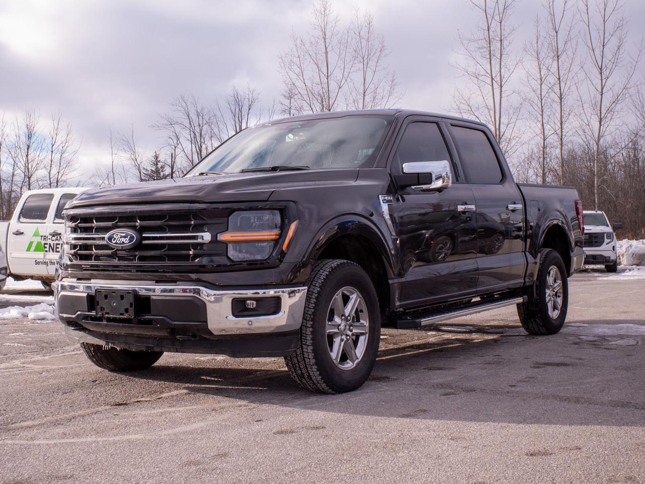 2024 Ford F-150 XLT - Aerial View Display System Photo3