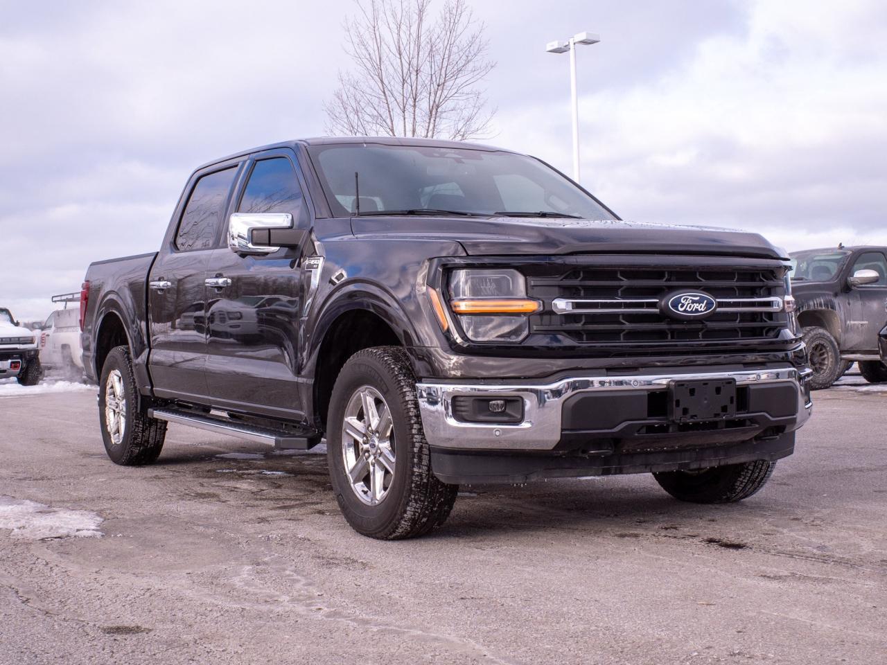 2024 Ford F-150 XLT - Aerial View Display System Photo