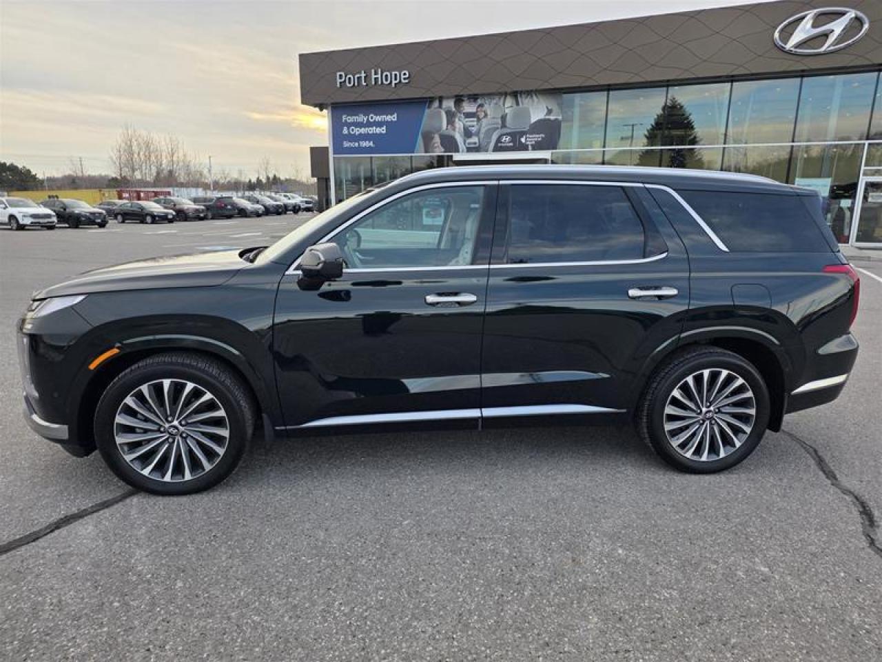 2025 Hyundai PALISADE Ultimate Calligraphy 7-Passenger AWD Photo