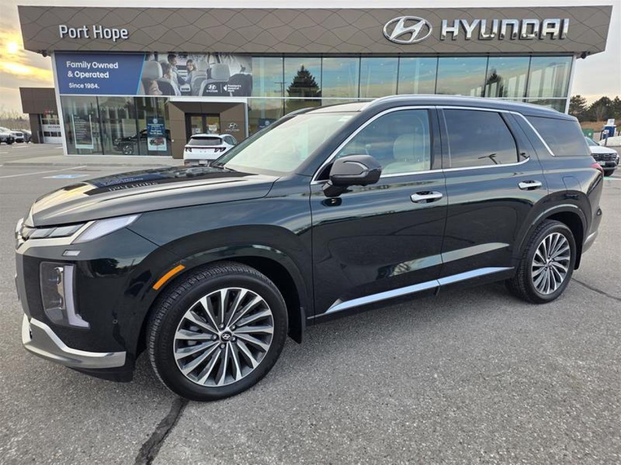 2025 Hyundai PALISADE Ultimate Calligraphy 7-Passenger AWD Photo