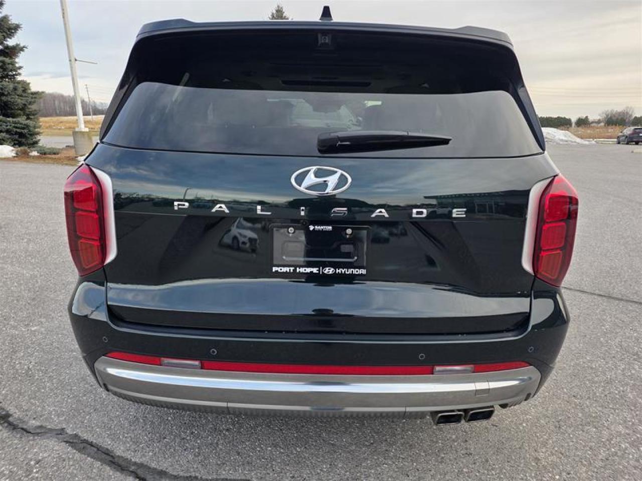 2025 Hyundai PALISADE Ultimate Calligraphy 7-Passenger AWD Photo