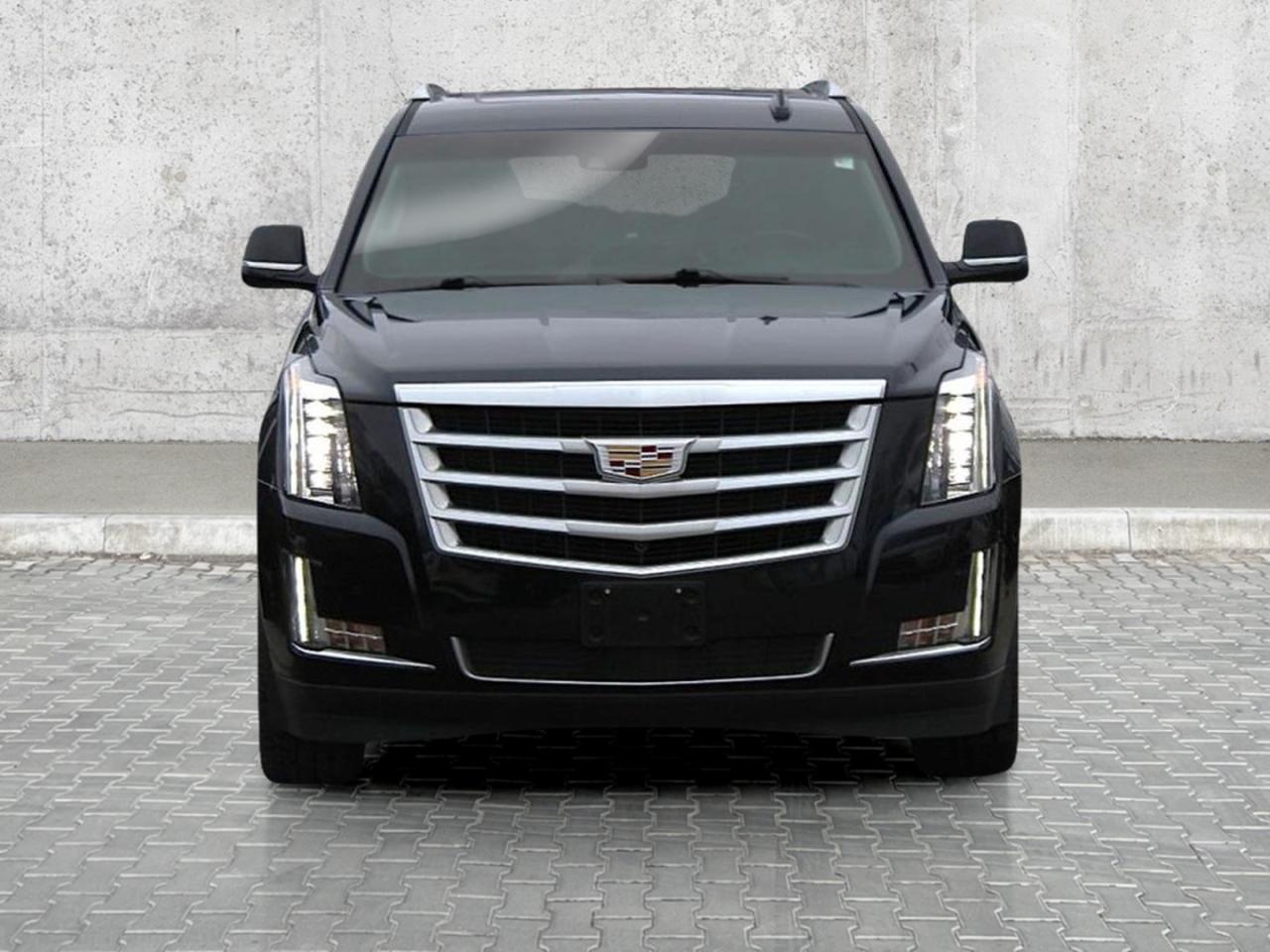 2019 Cadillac Escalade 4WD 4dr Premium Luxury Photo