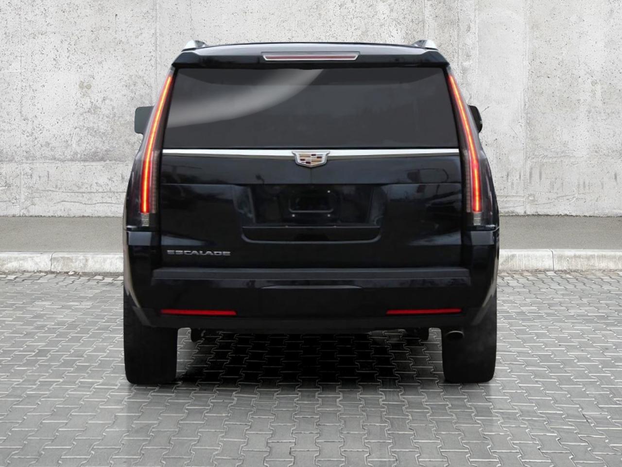 2019 Cadillac Escalade 4WD 4dr Premium Luxury Photo