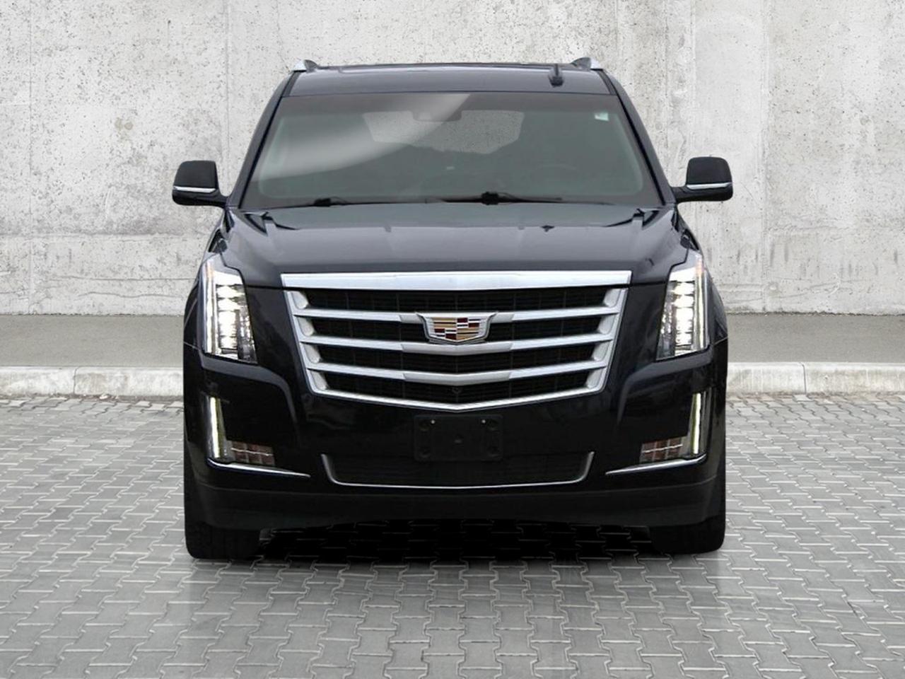 2019 Cadillac Escalade 4WD 4dr Premium Luxury Photo