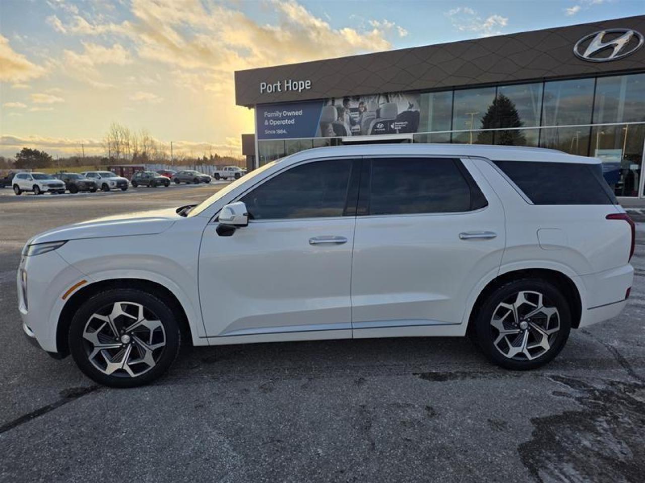 2021 Hyundai PALISADE AWD Ultimate Photo