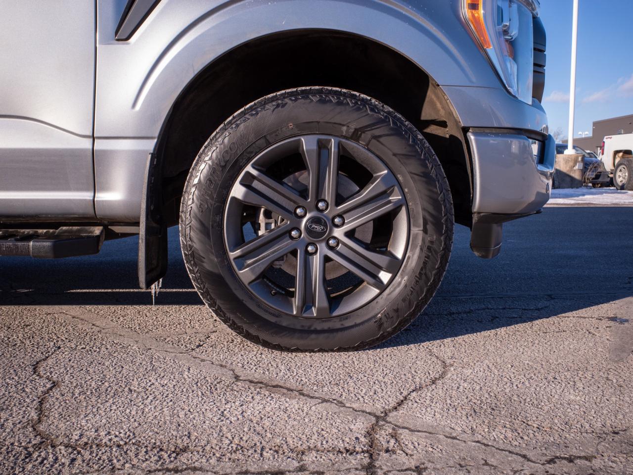 2023 Ford F-150 XLT -  Katzkin Leather Interior Photo