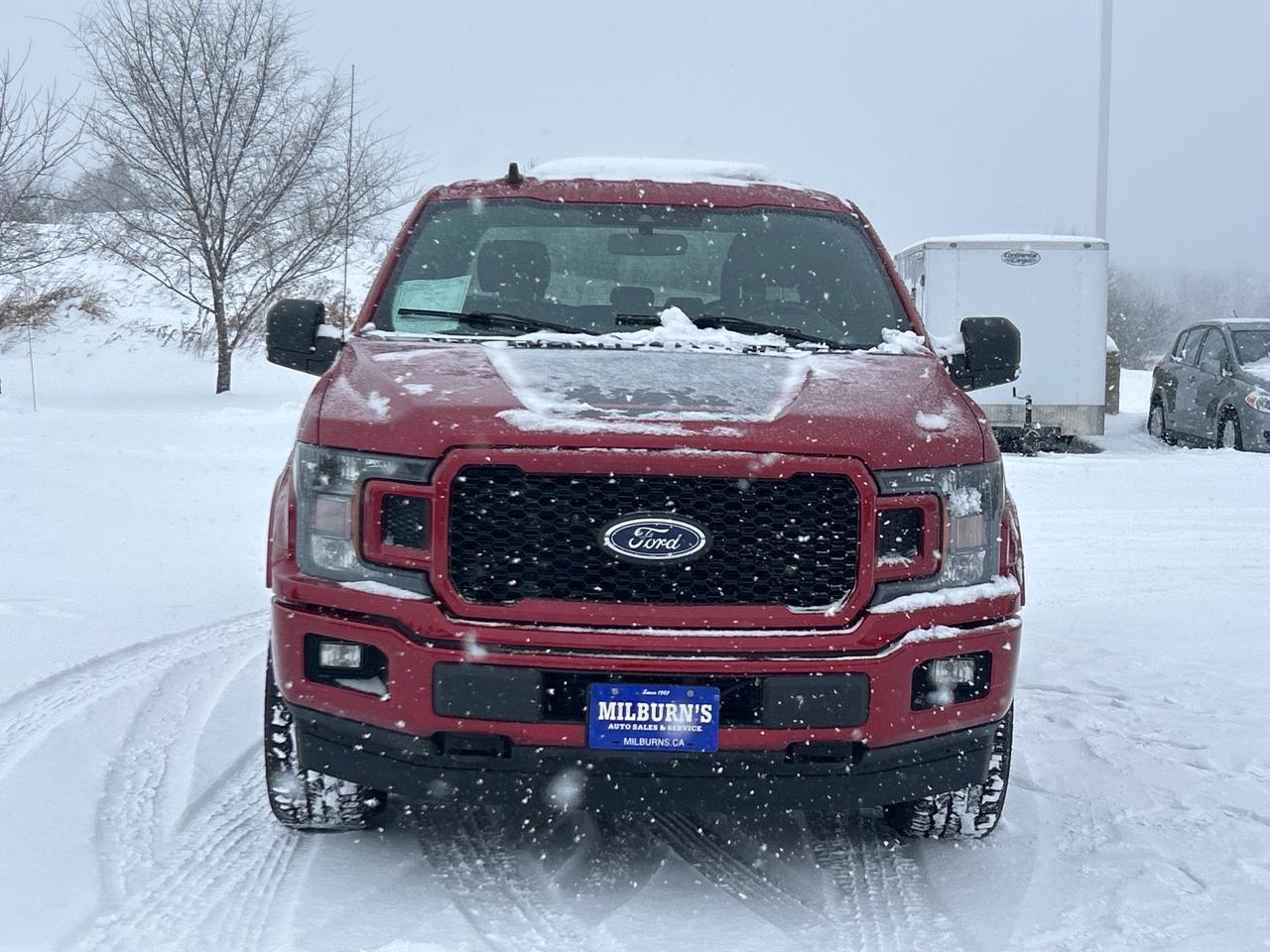 2020 Ford F-150 XLT Sport 4x4 SuperCrew 6.5ft Box   3.5L Ecoboost Photo