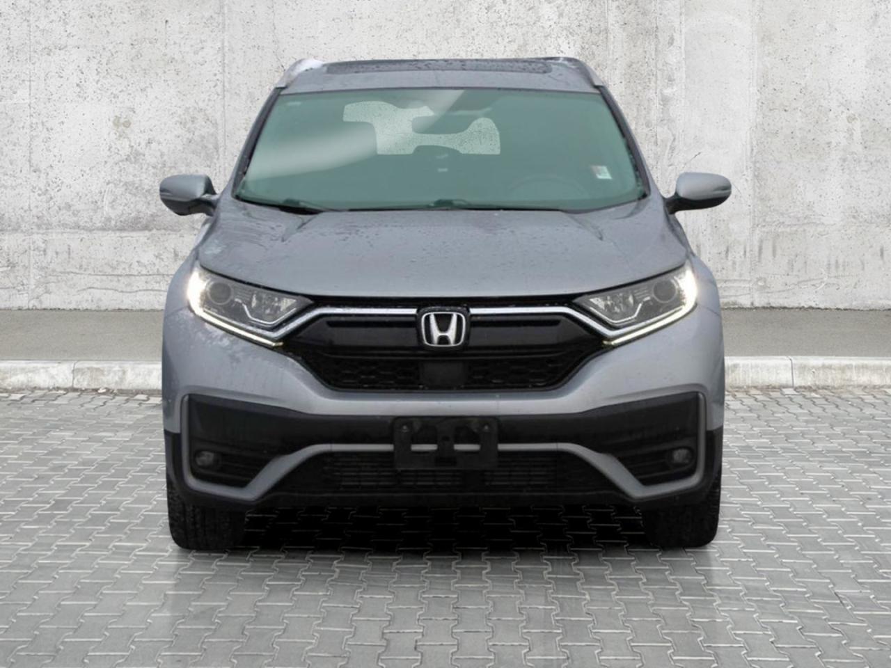 2020 Honda CR-V EX-L AWD Photo