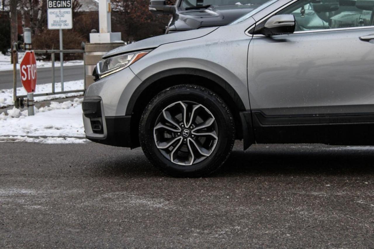 2020 Honda CR-V EX-L AWD Photo