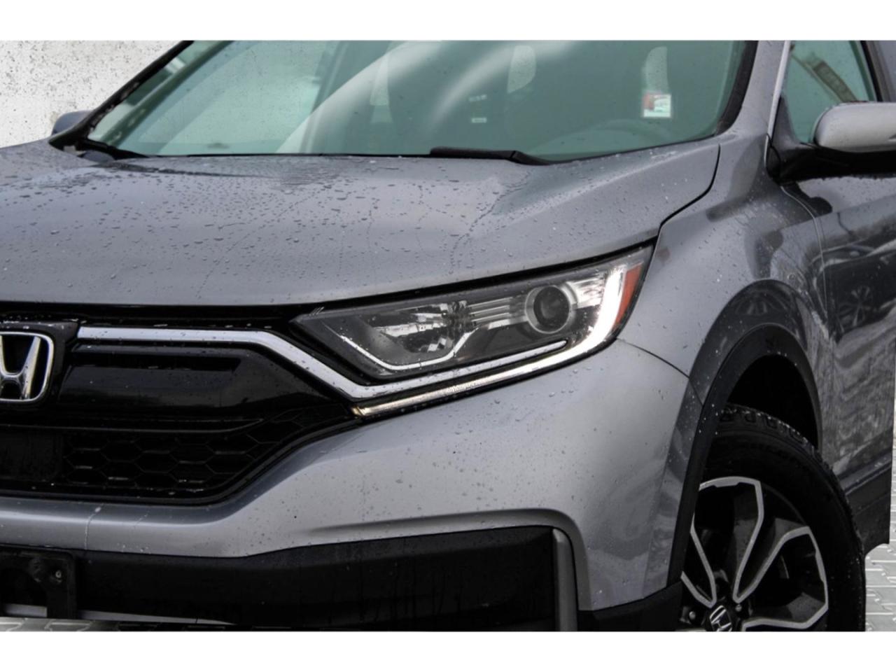 2020 Honda CR-V EX-L AWD Photo