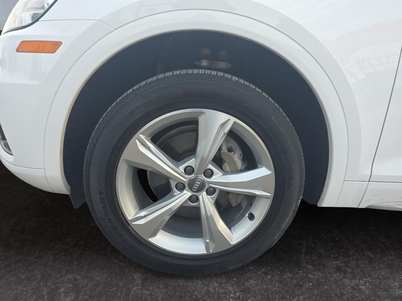 2019 Audi Q5 Progressiv * NO ACCIDENT / NAVI / CAM / PANO / CAR Photo