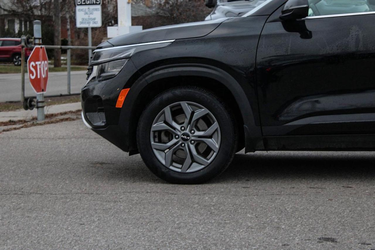 2024 Kia Seltos EX AWD Photo