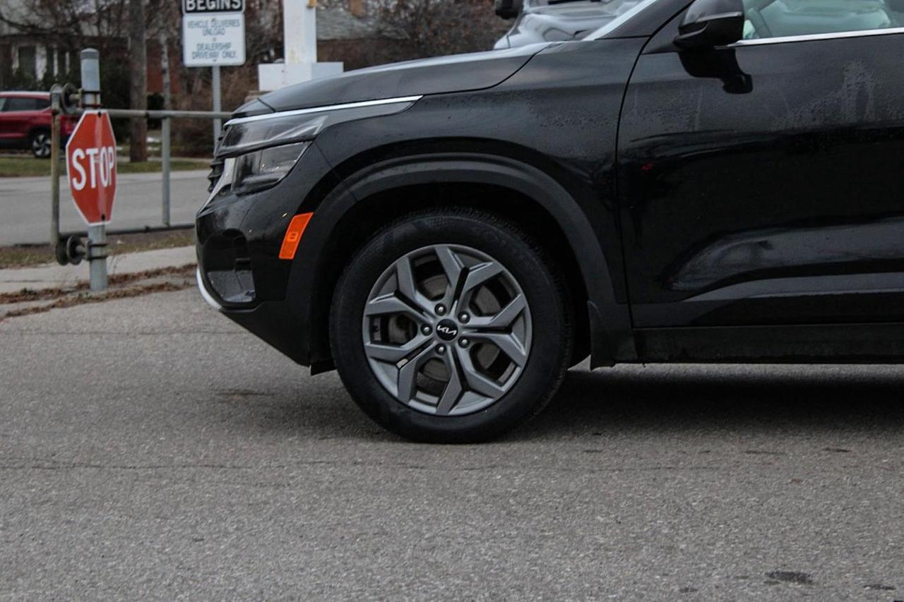 2024 Kia Seltos EX AWD Photo