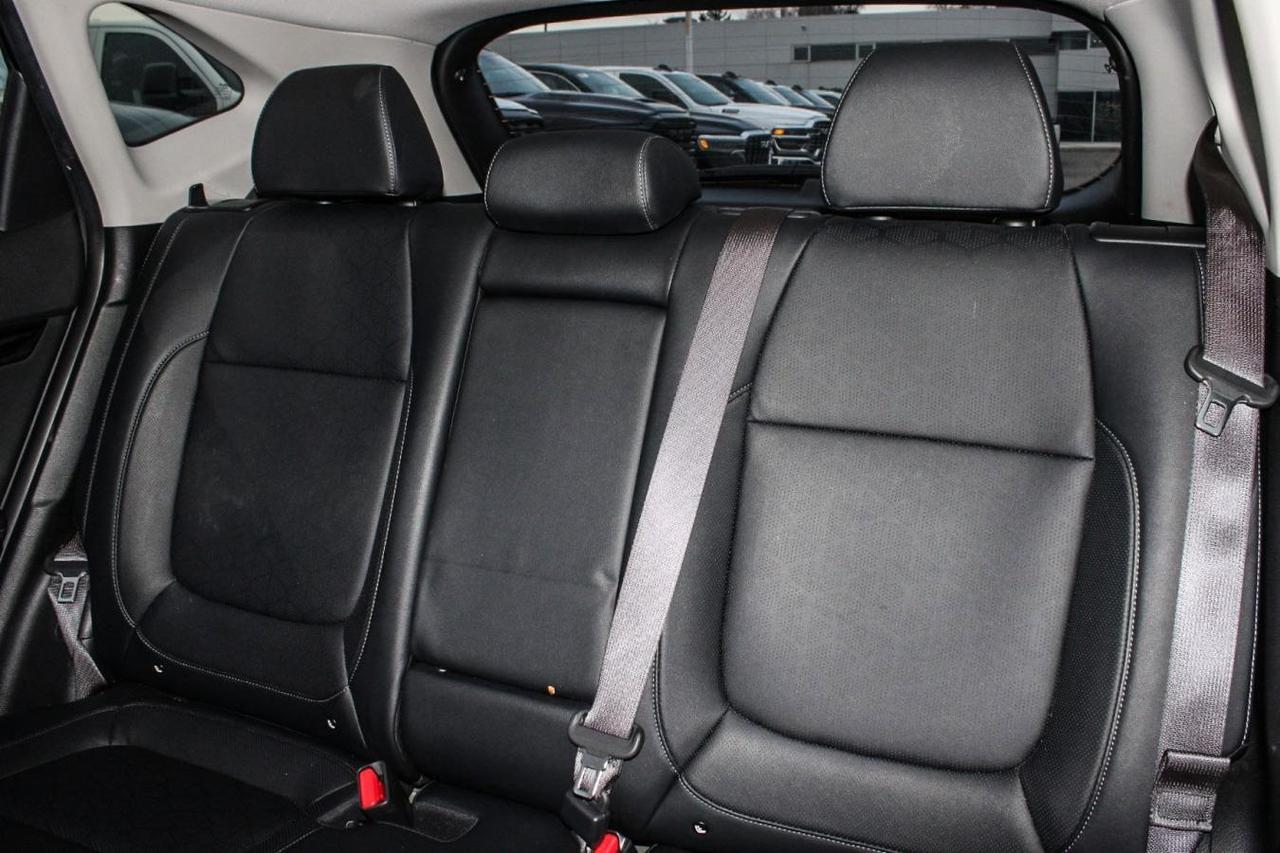 2024 Kia Seltos EX AWD Photo