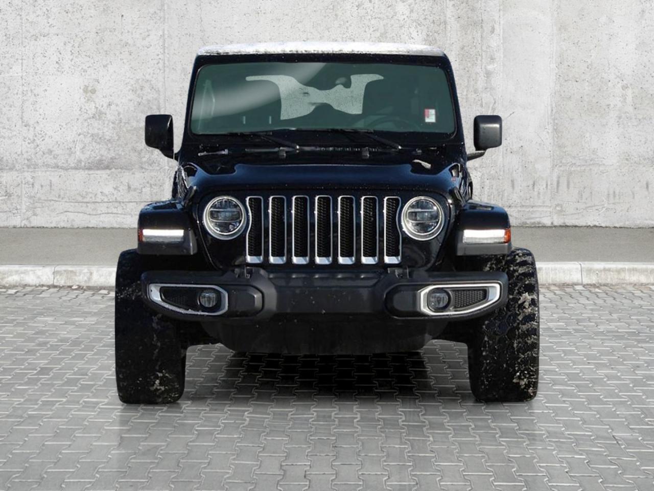 2019 Jeep Wrangler  Photo