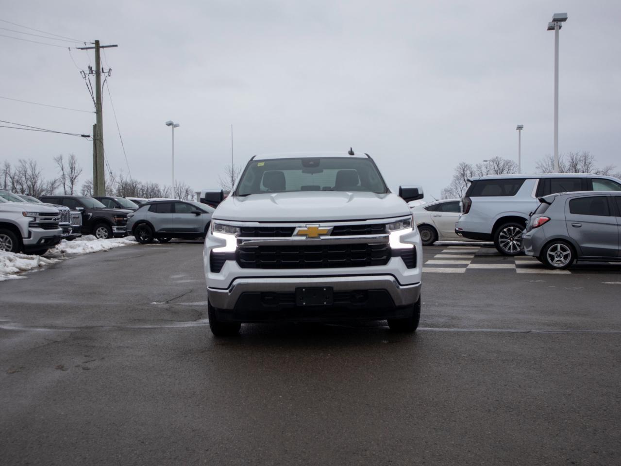 2024 Chevrolet Silverado 1500 LT - Heated Steering Wheel Heated Front Seats Photo2