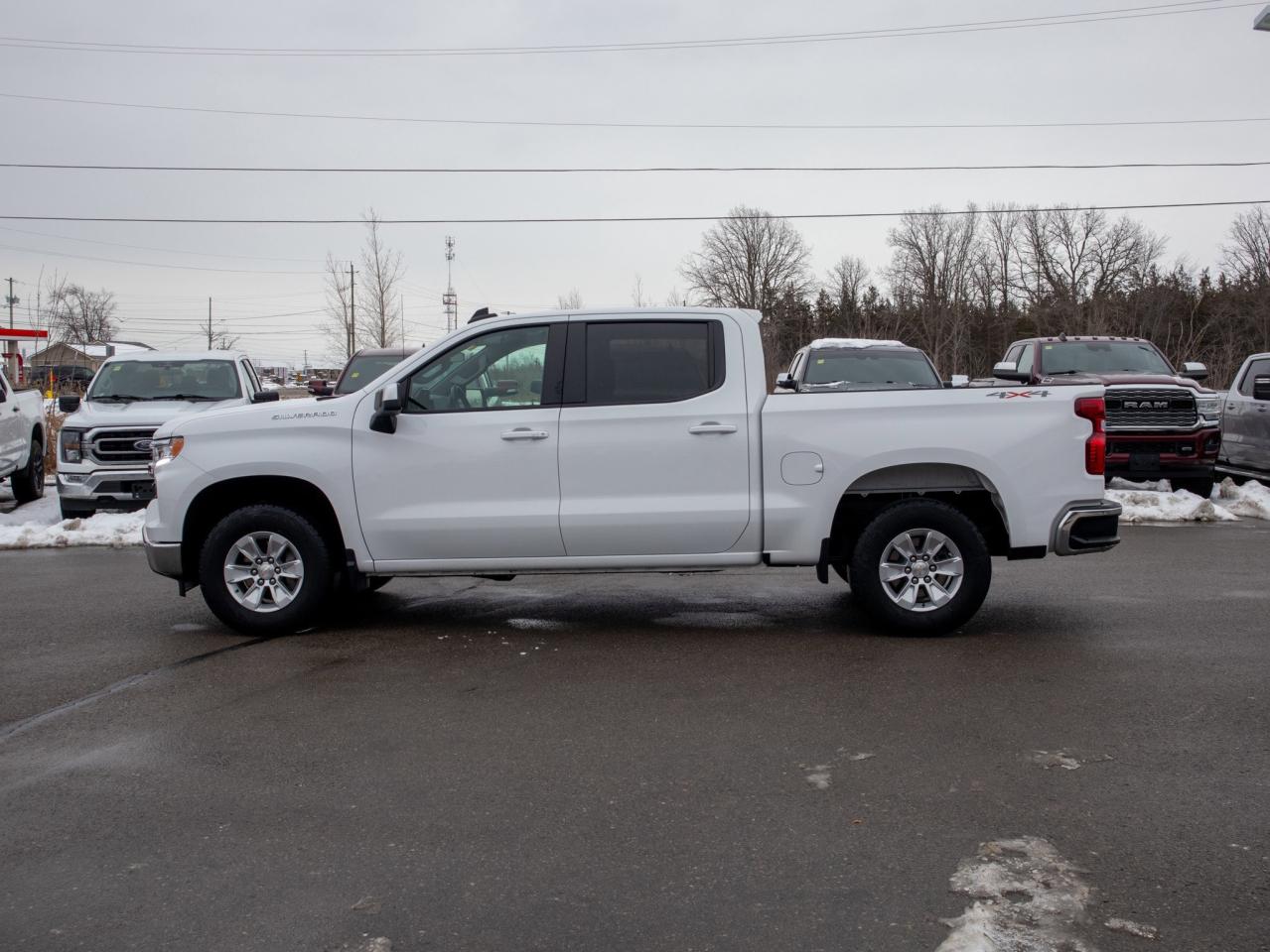 2024 Chevrolet Silverado 1500 LT - Heated Steering Wheel   Heated Front Seats Photo