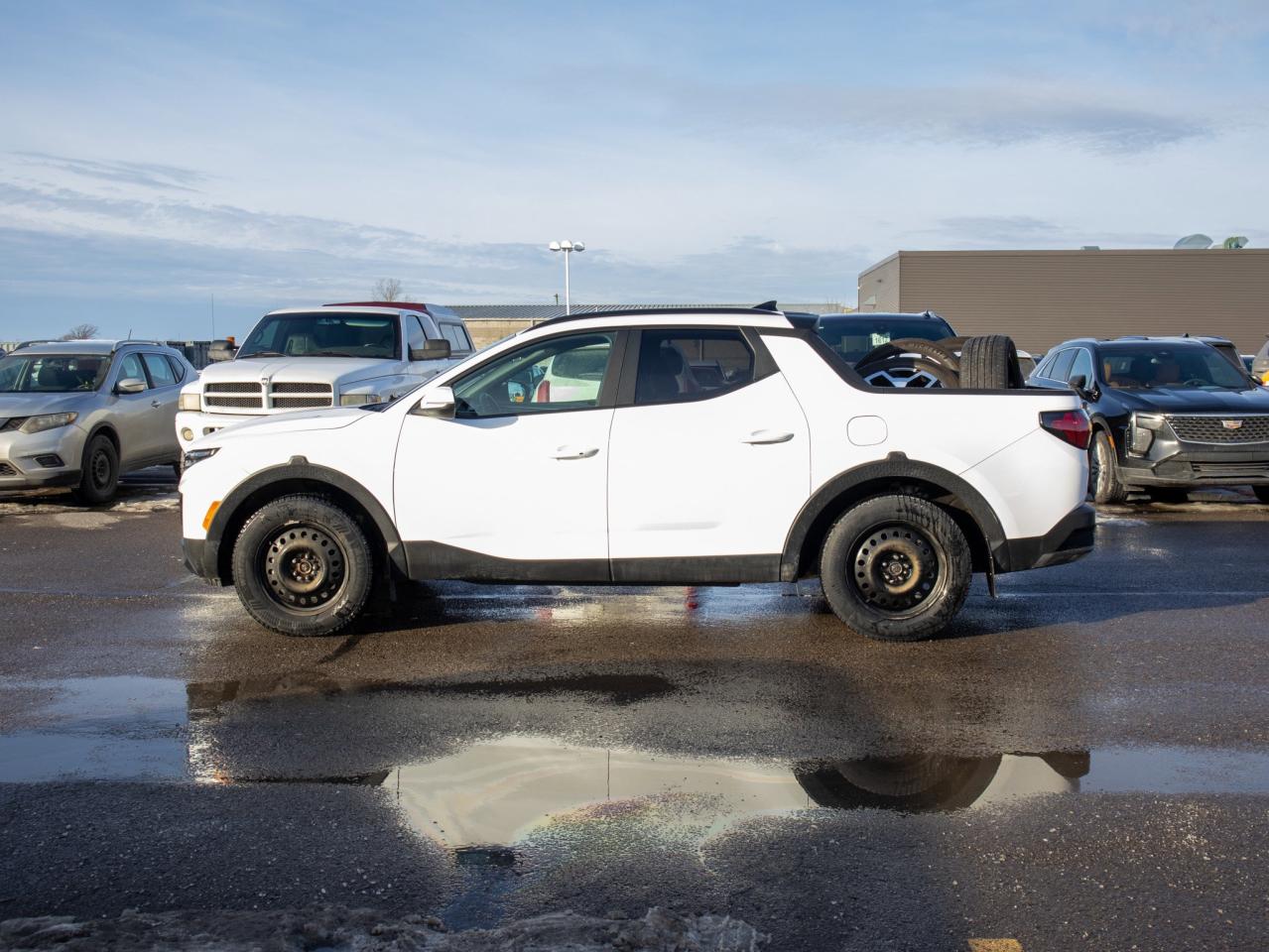 2024 Hyundai Santa Cruz Trend - Heated Steering, Adaptive Cruise Control Photo