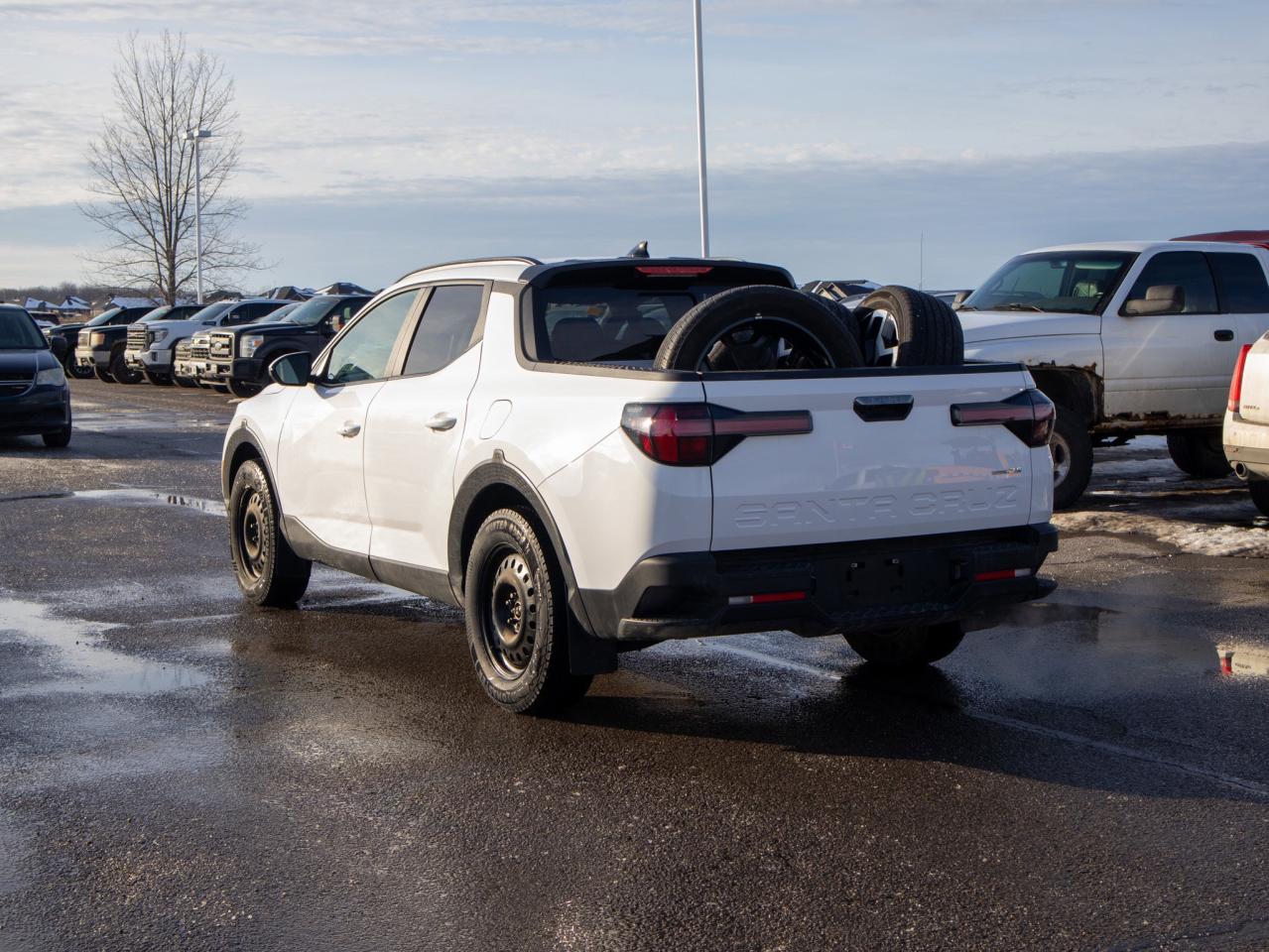 2024 Hyundai Santa Cruz Trend - Heated Steering, Adaptive Cruise Control Photo