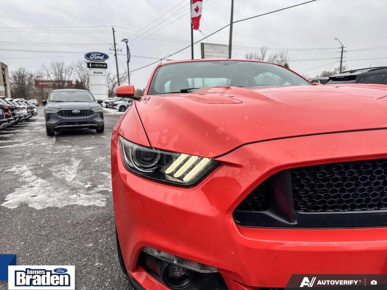 2016 Ford Mustang GT   PREMIUM   AUTO   5.0L V8 Photo
