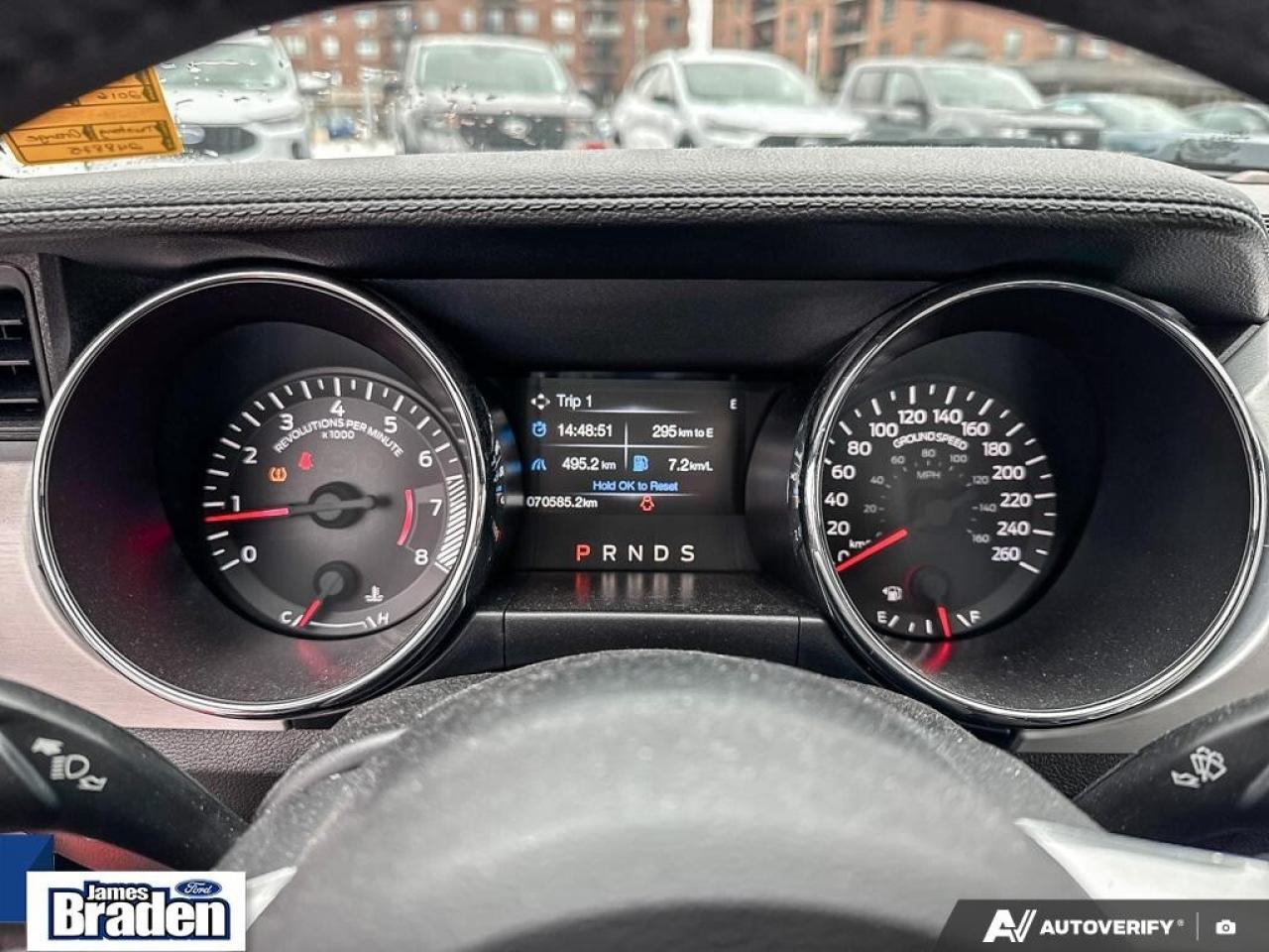 2016 Ford Mustang GT   PREMIUM   AUTO   5.0L V8 Photo