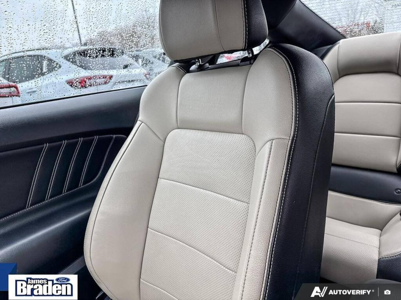 2016 Ford Mustang GT   PREMIUM   AUTO   5.0L V8 Photo